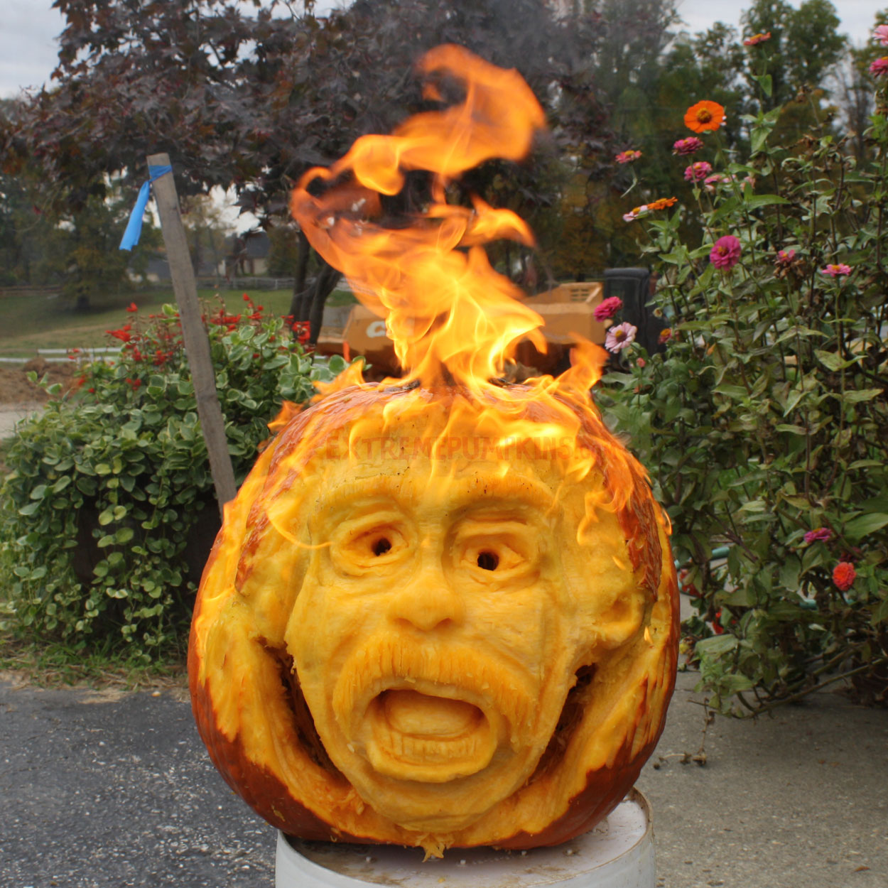 2012 Pumpkin Carving Contest Winners