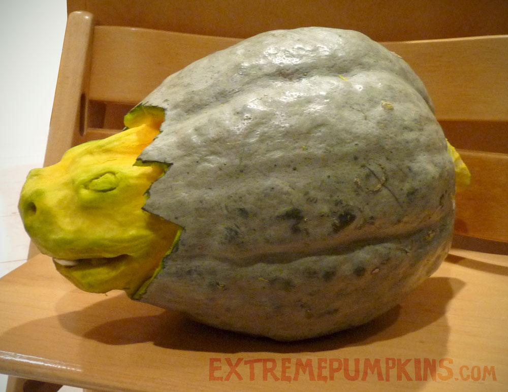 A Dinosaur Egg Made From A Hubbard Squash