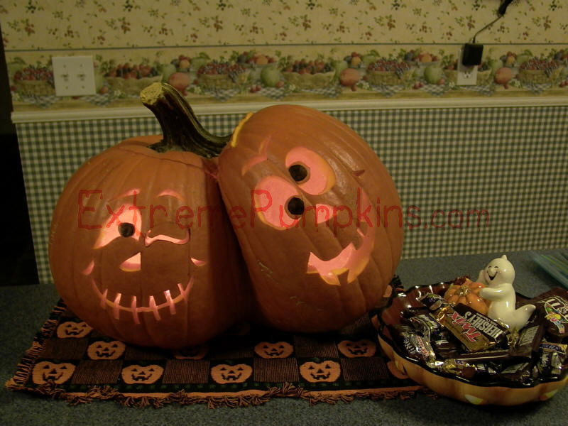 A Real Conjoined Pumpkin