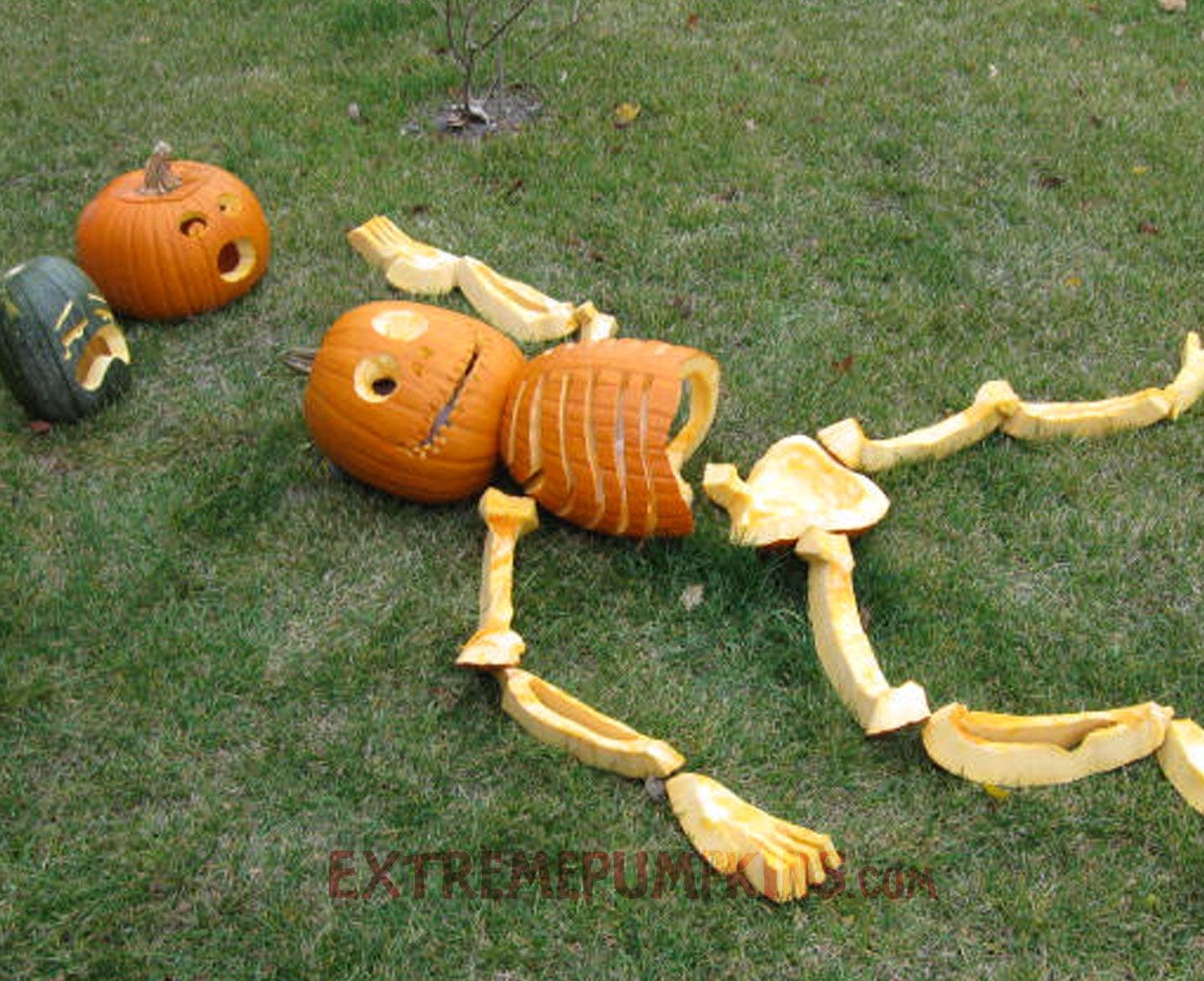 An Easier Pumpkin Skeleton