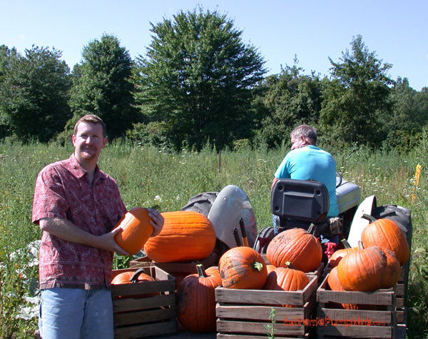 Buying Pumpkins