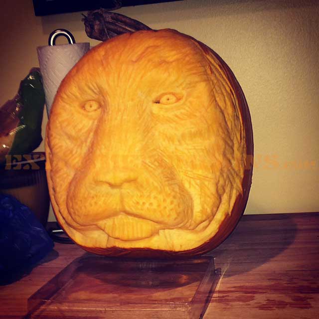 Cecil The Lion Pumpkin