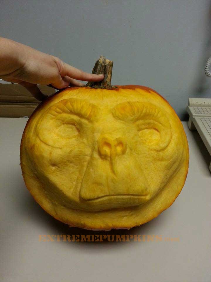 ET Pumpkin - 2 Photos