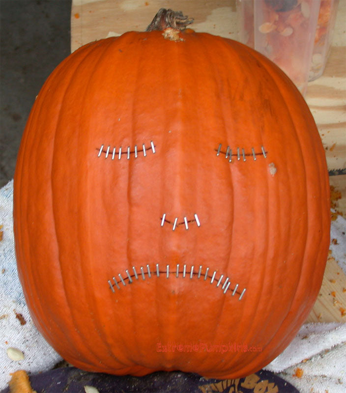 Freedom of Speech Pumpkin