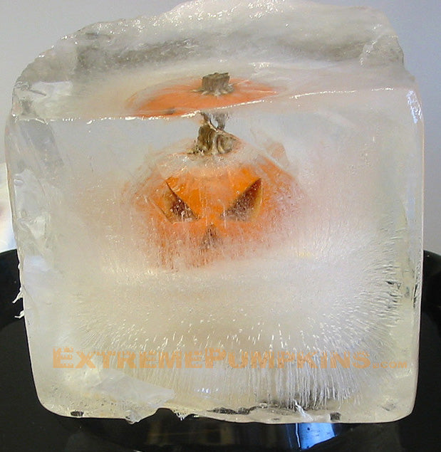 Frozen In Time Pumpkin