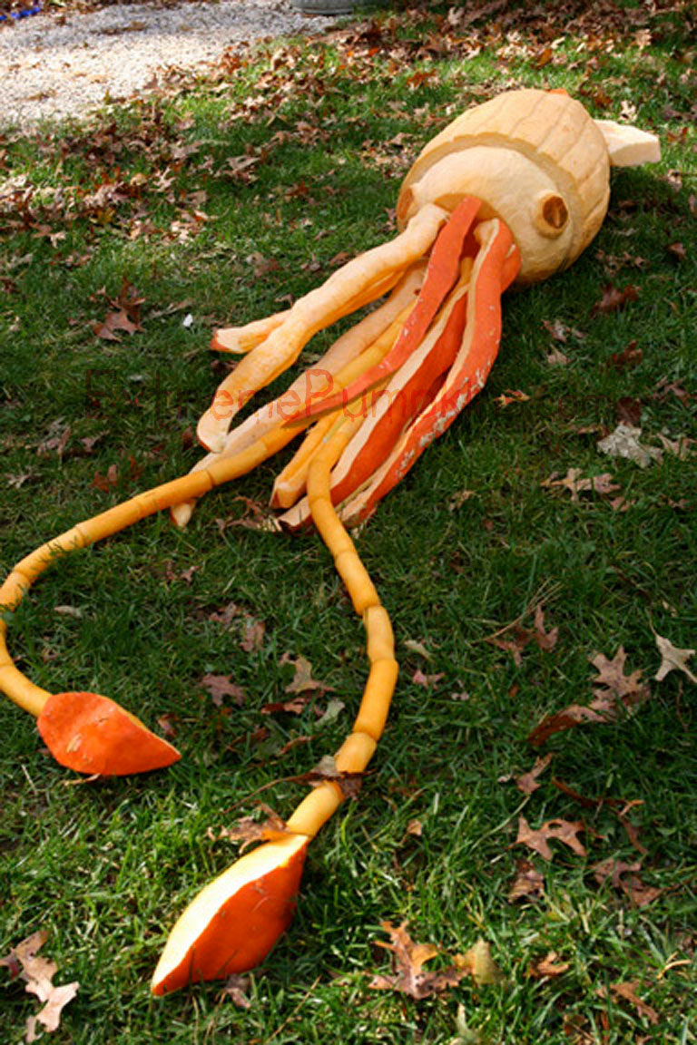 Giant Squid Pumpkin