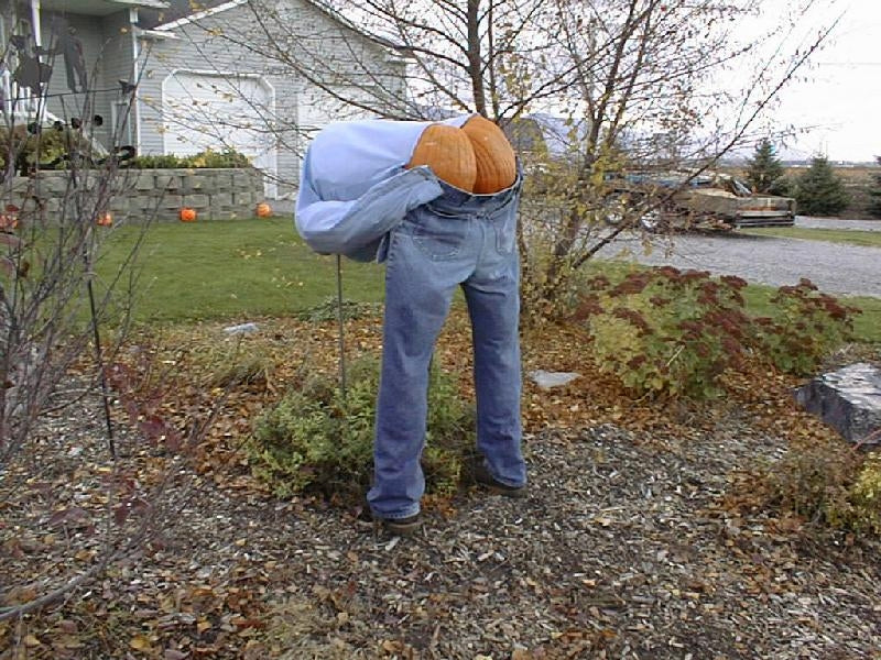 Mooning Pumpkin