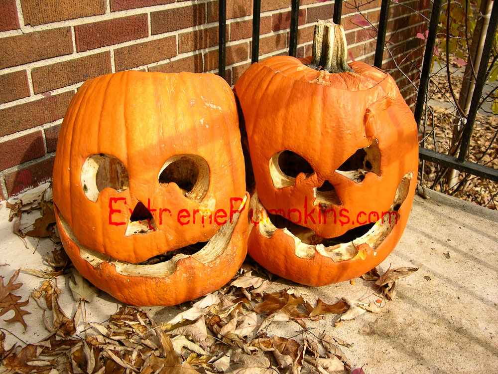 Old and Crusty Siamese Twins Pumpkin