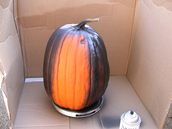 Painting a Pumpkin