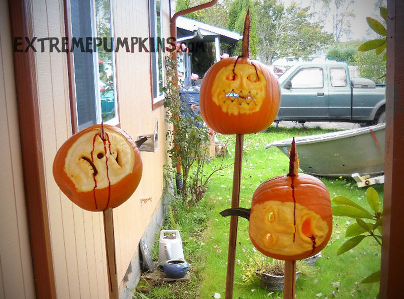 Pumpkins On Sharp Sticks