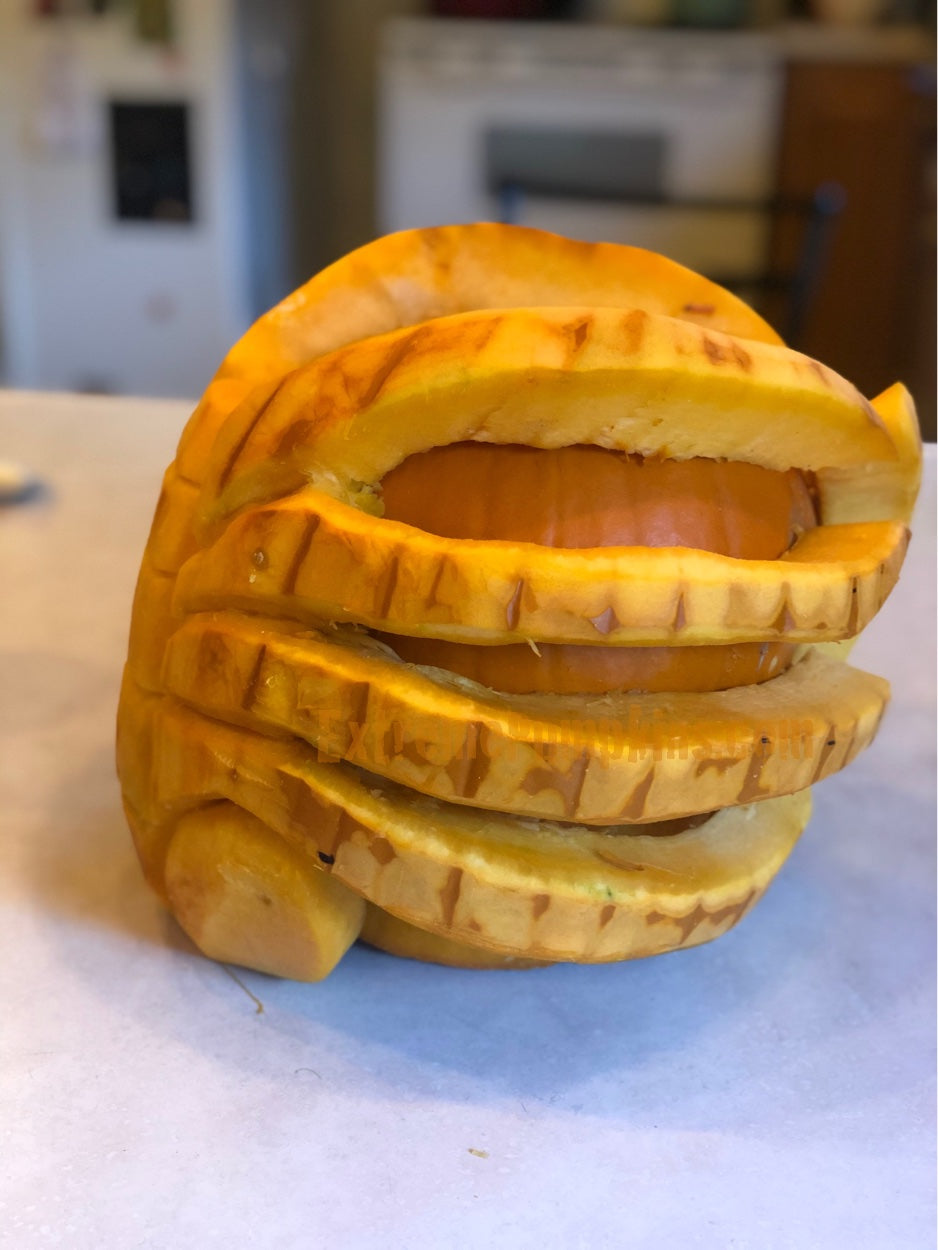 Octopus Grip Pumpkin