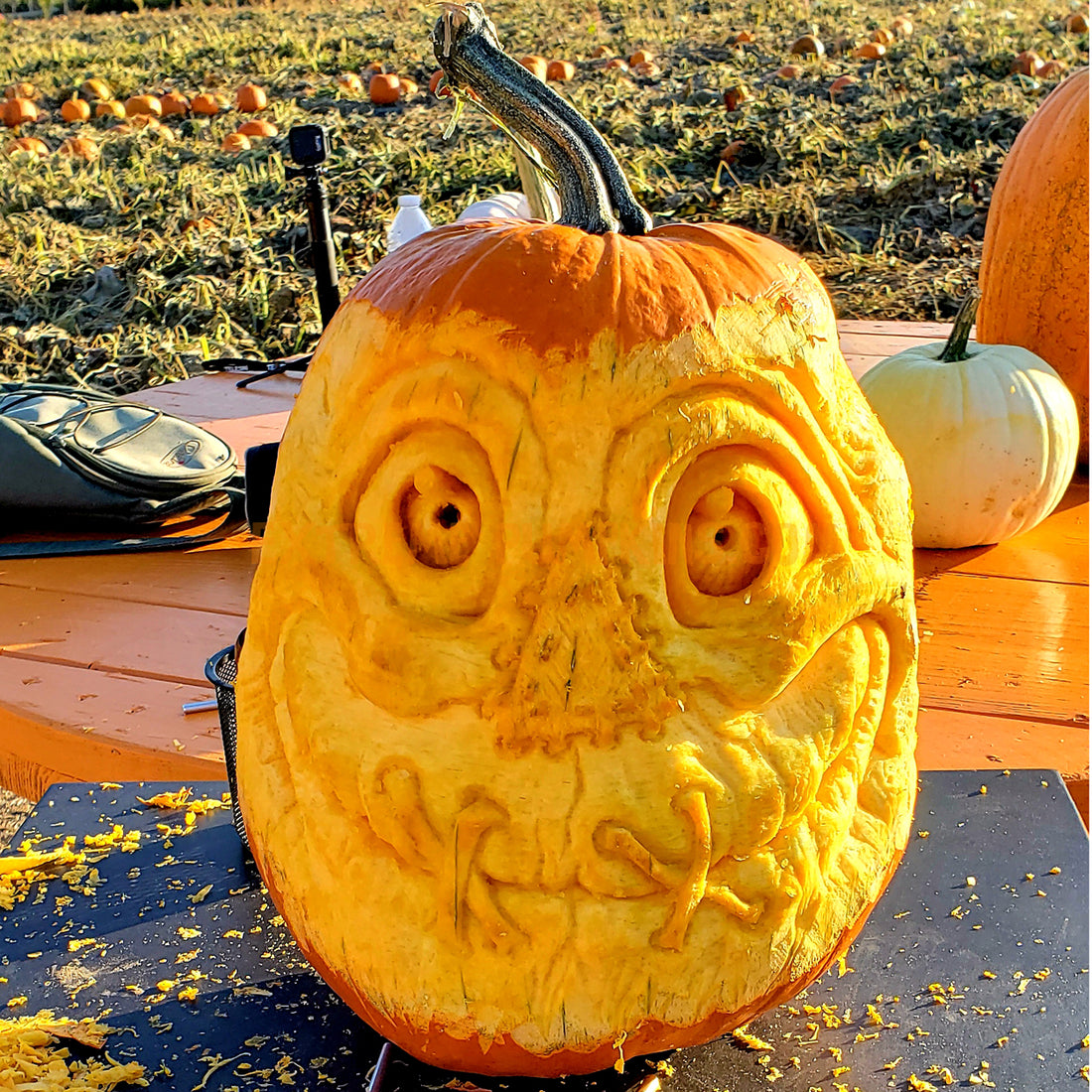 Scarecrow Pumpkin