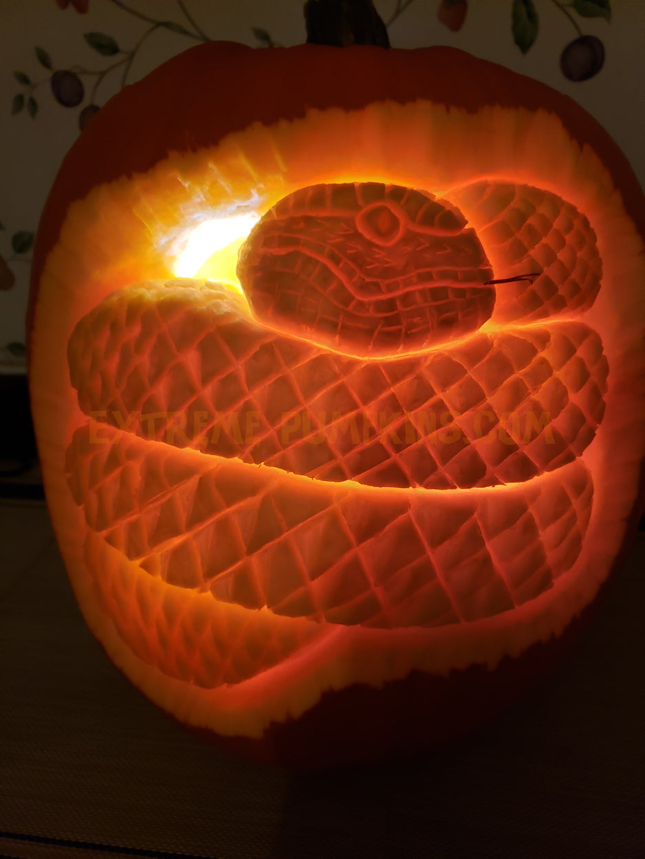 Snake Pumpkin