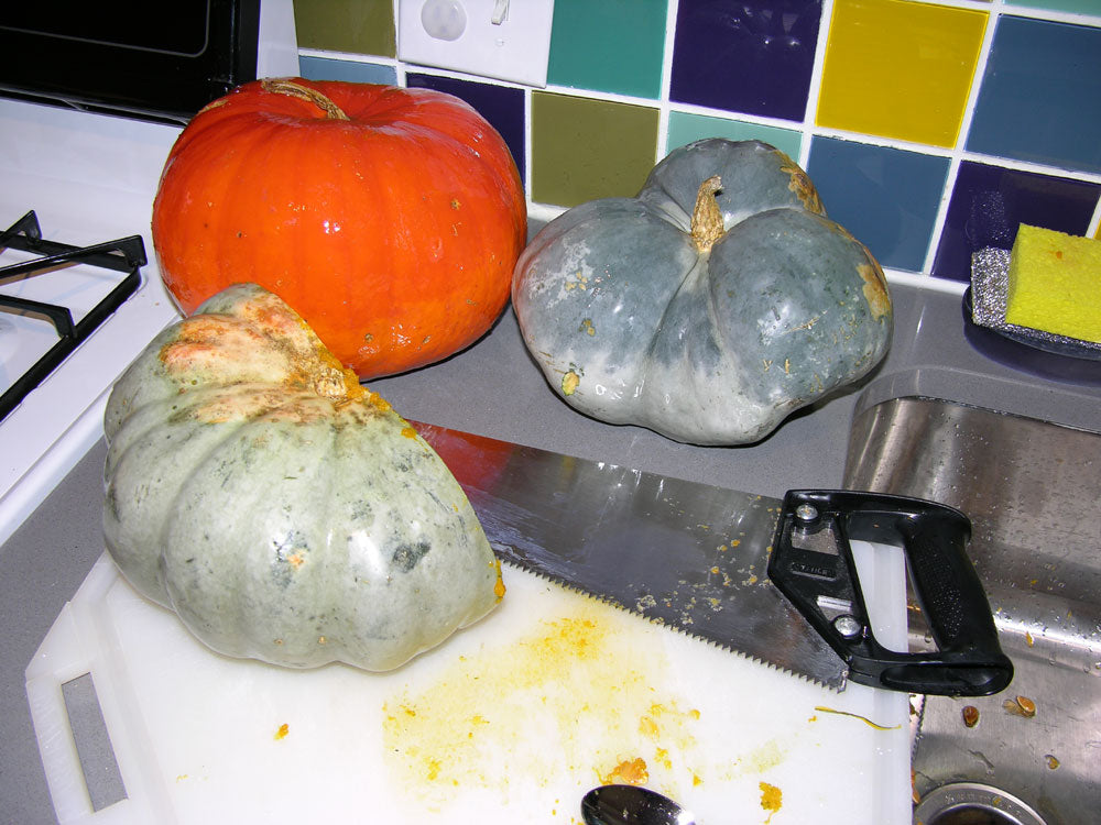 Squash and Pumpkin Tasting