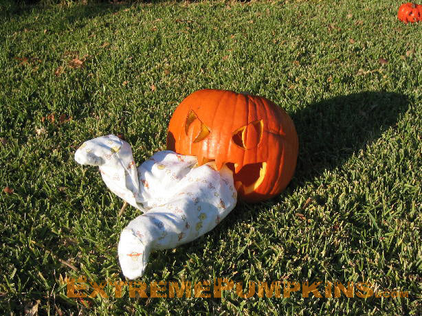 The Baby Eating Pumpkin