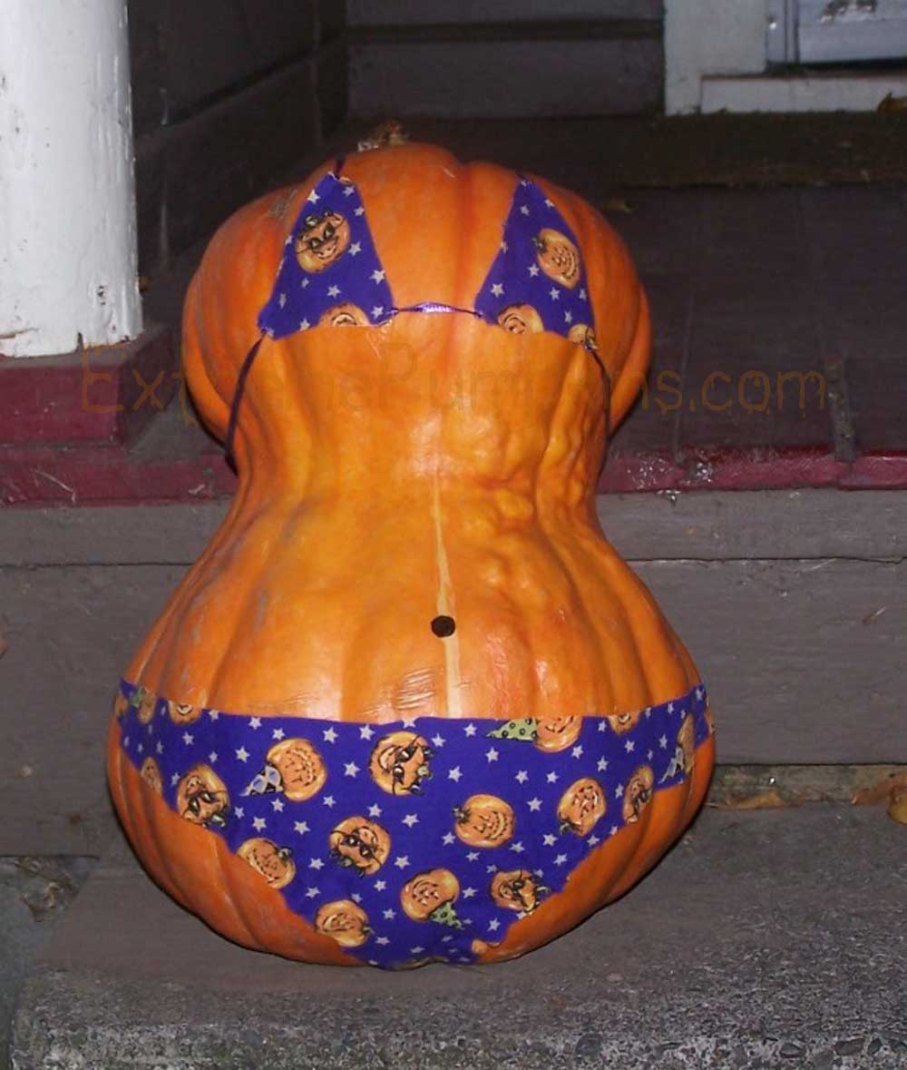 The Bikini Pumpkin