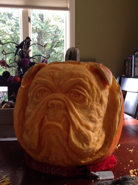 The Bulldog Pumpkin