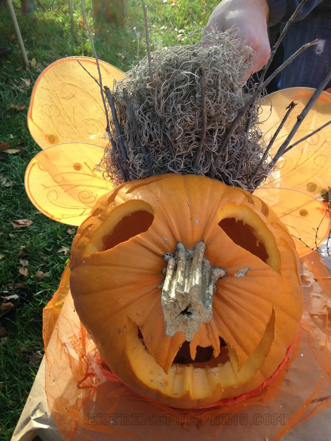 The Flamable Afro Pumpkin