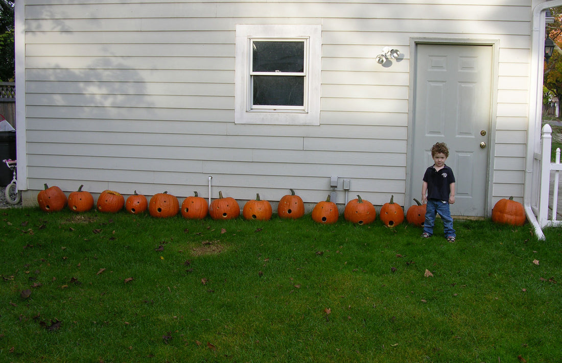 The Great Pumpkin Preservation Study - How To Preserve A Pumpkin Properly