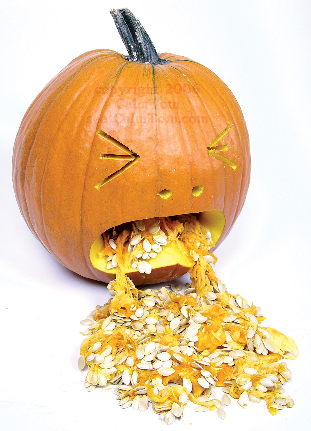 The Puking Pumpkin