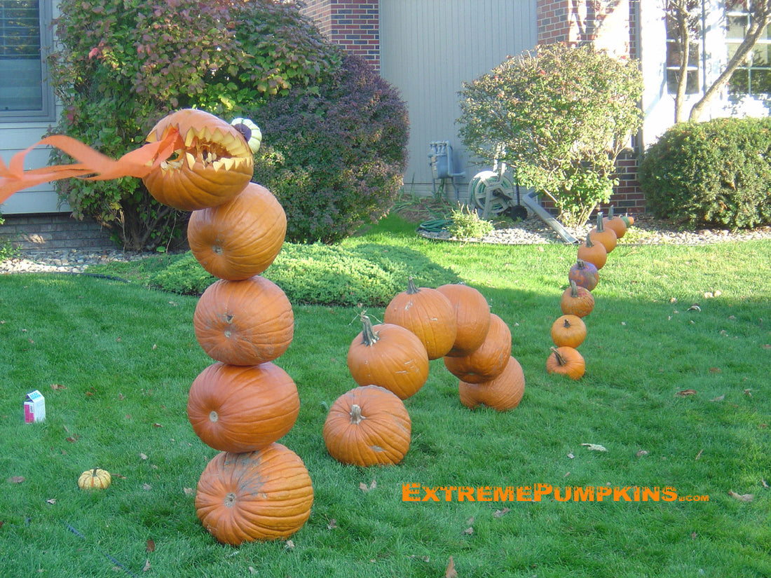 The Pumpkin Dragon