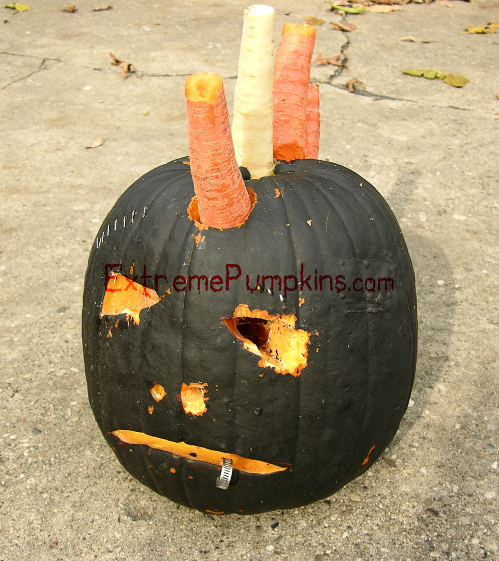 The Punkin - Punk Rock Pumpkin