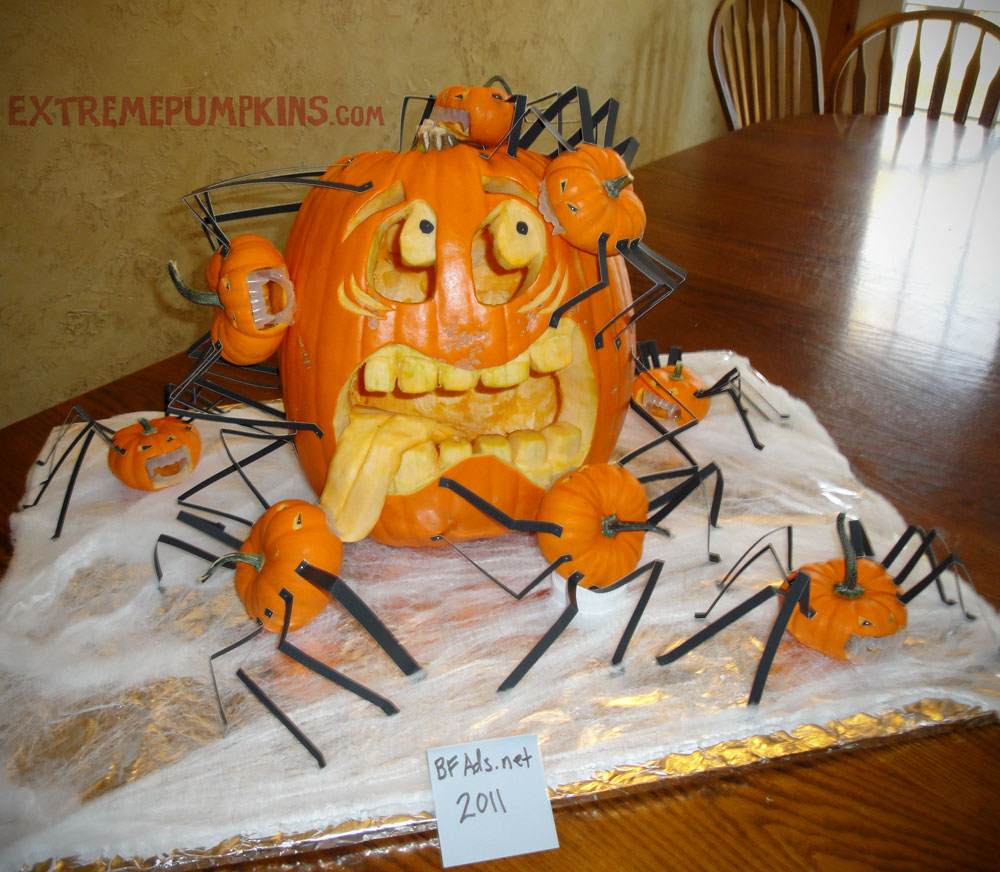 This Pumpkin Is Being Attacked By Spiders