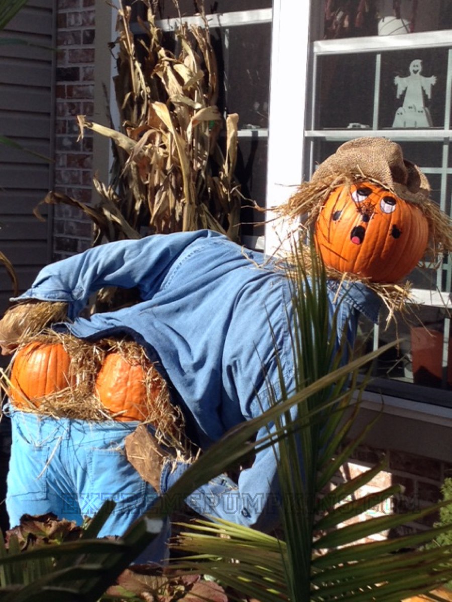 This Year's Best Mooning Pumpkin