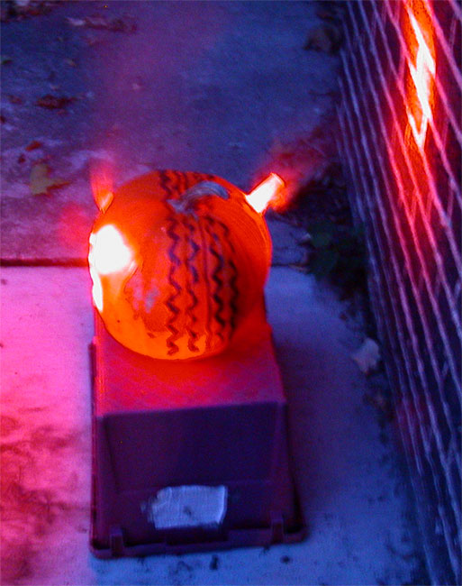 Traffic Pumpkin - Side View