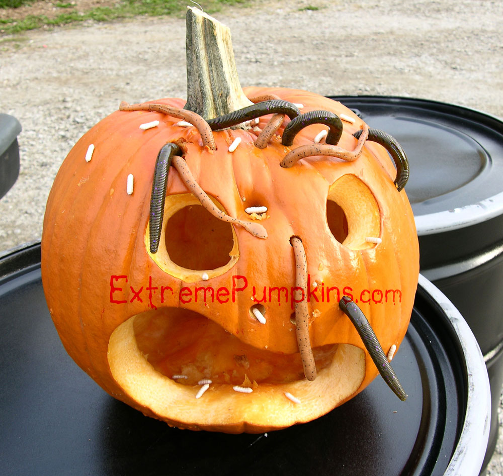 Worm Infested Pumpkin - Take 2