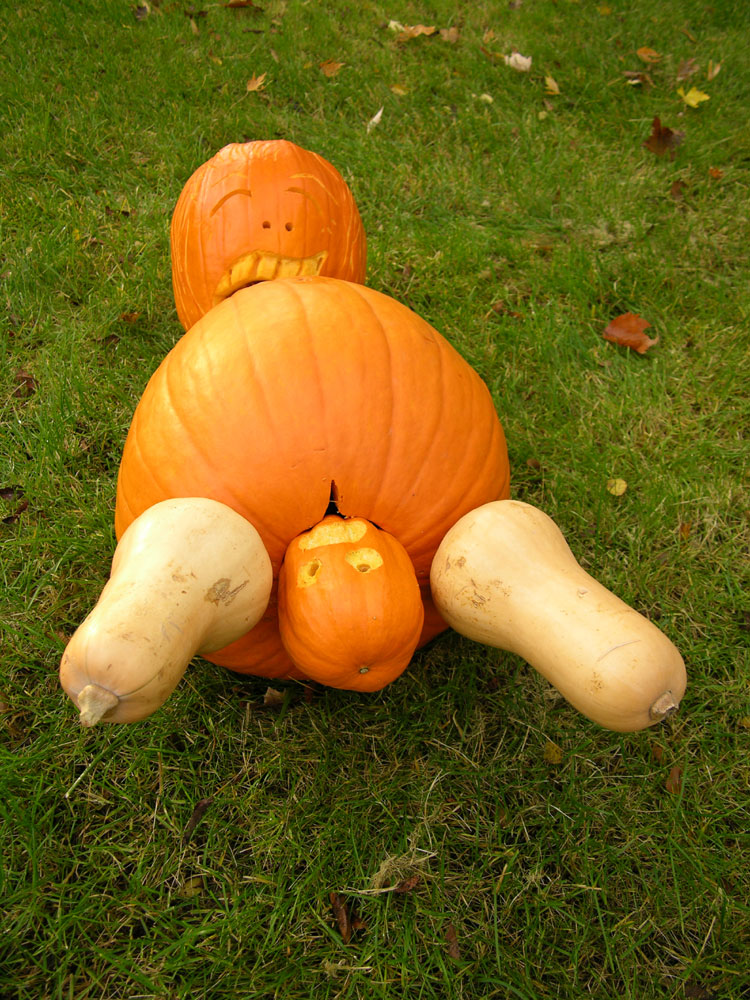 10 Things You Can't Show a Baby Pumpkin Doing