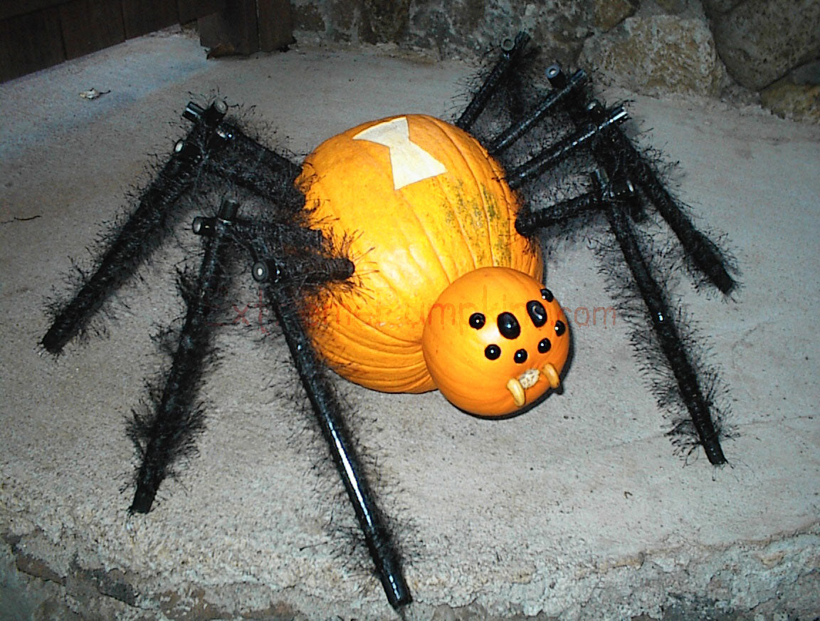 A Black Widow Pumpkin