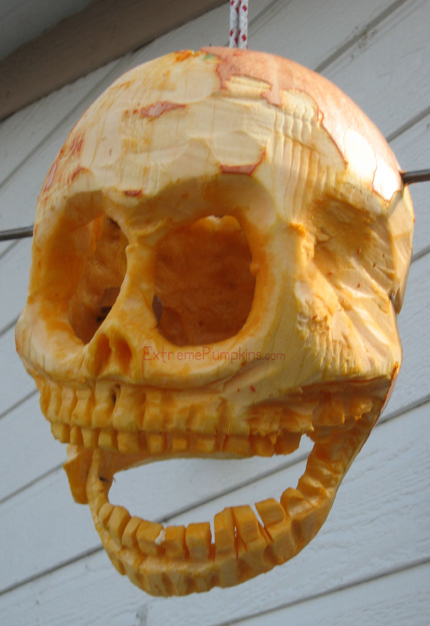 A Cool Skull Design