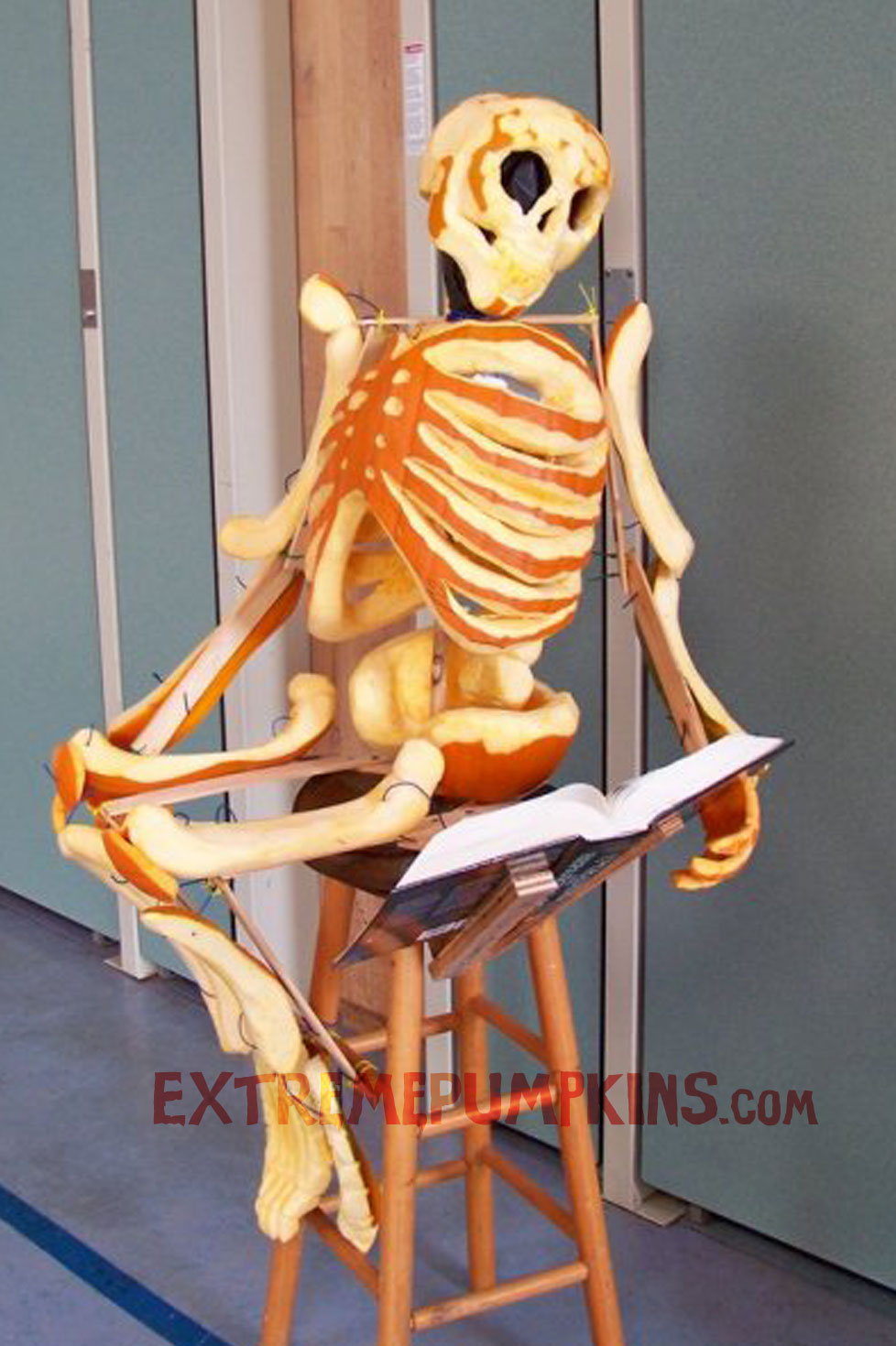 A Great Pumpkin Skeleton