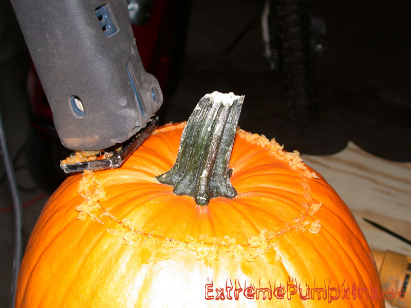Decapitating The Pumpkin