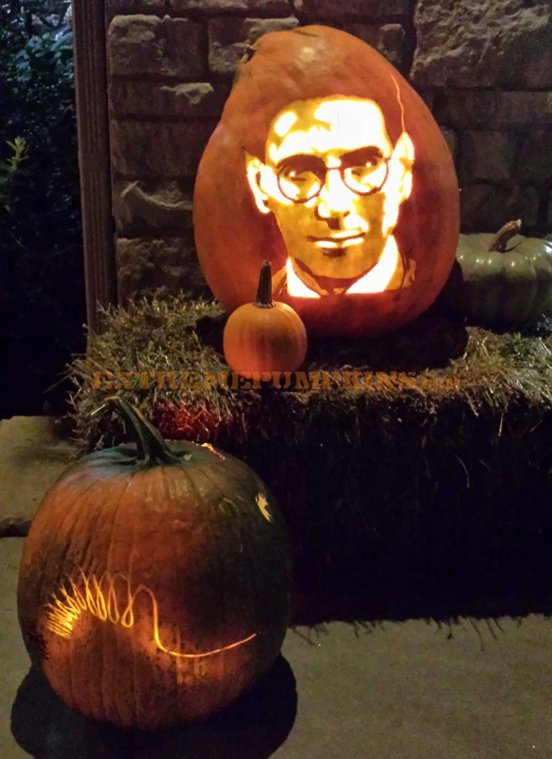 Egon (from Ghost Busters) Pumpkin