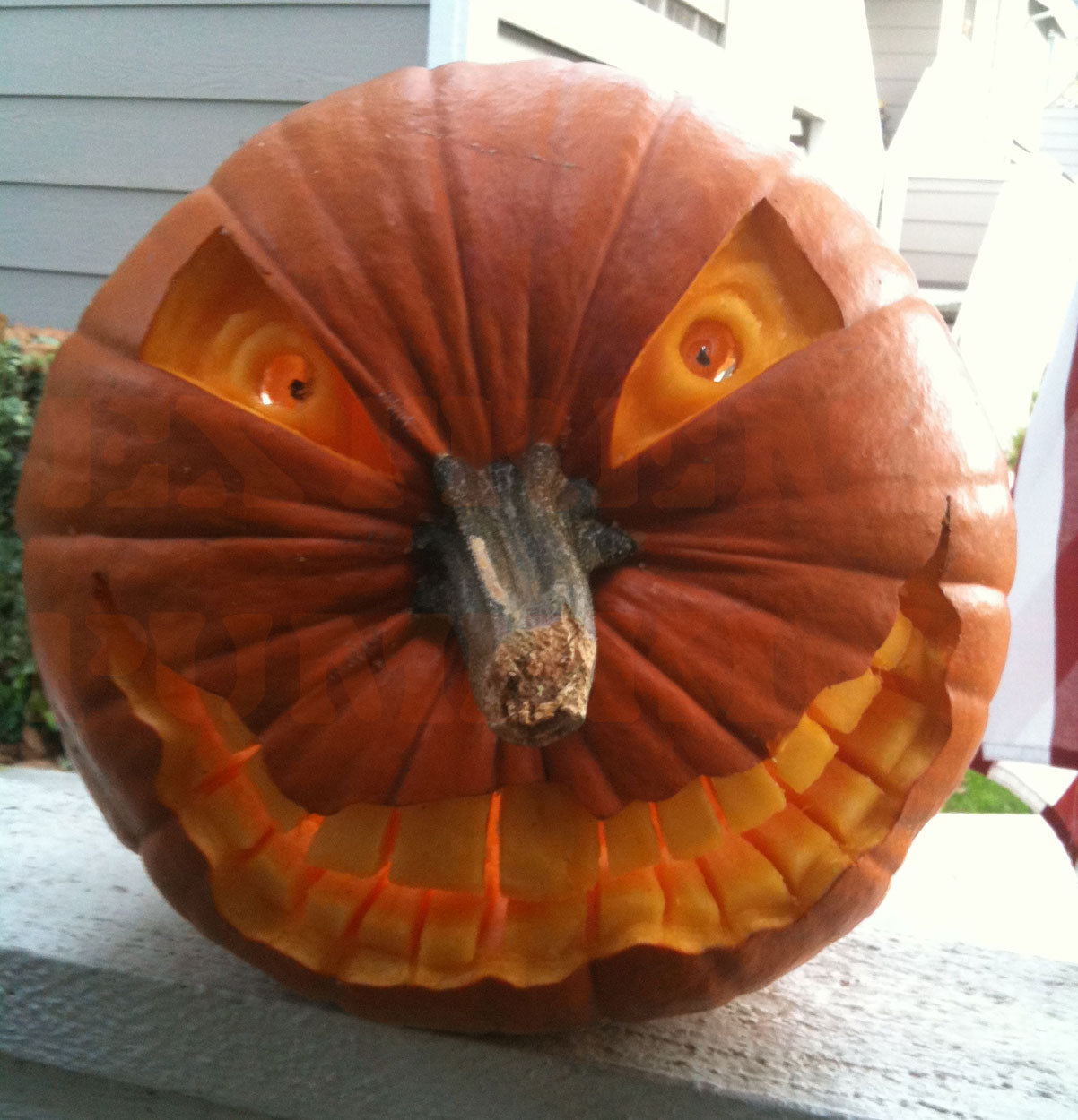I Like The Eyes and Teeth On This Pumpkin