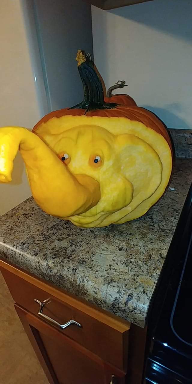Elephant Pumpkin