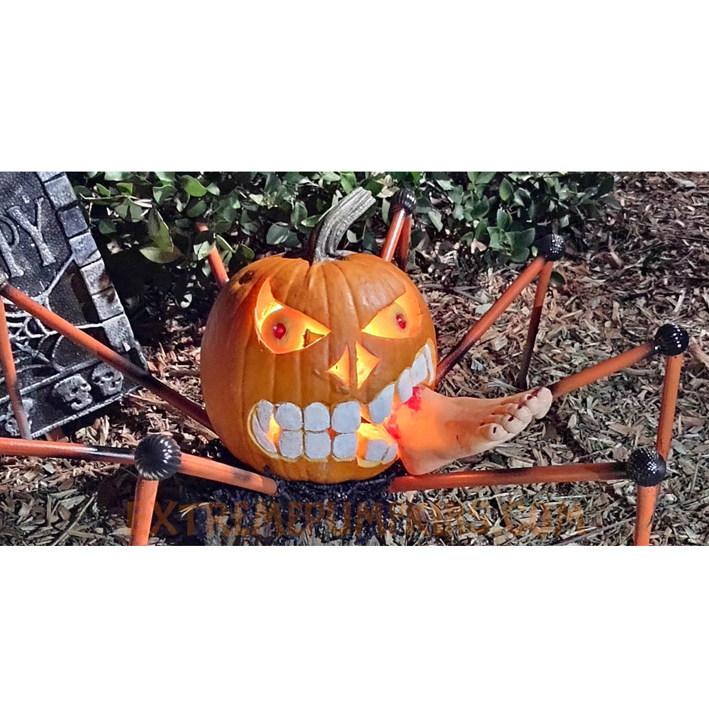 Foot Eating, Golfball Jointed Spider Pumpkin