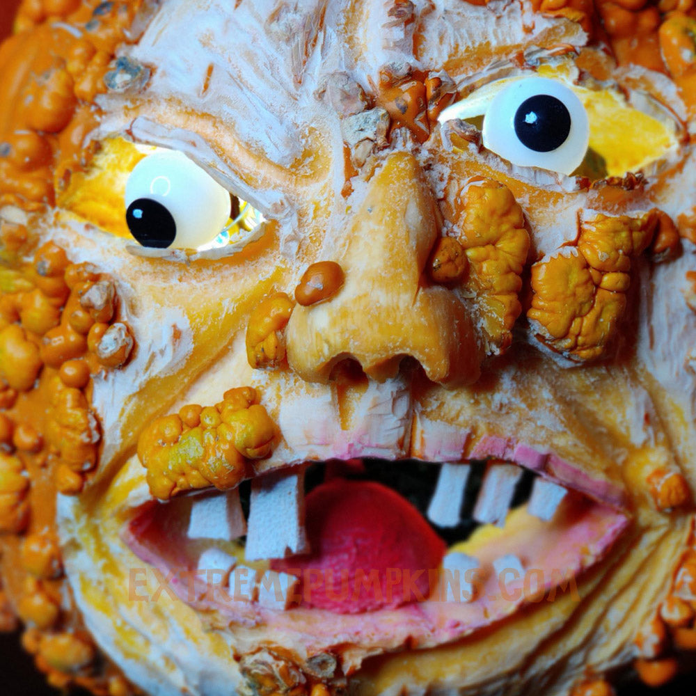 Knobbly, Sick, Ultra Close-Up Pumpkin