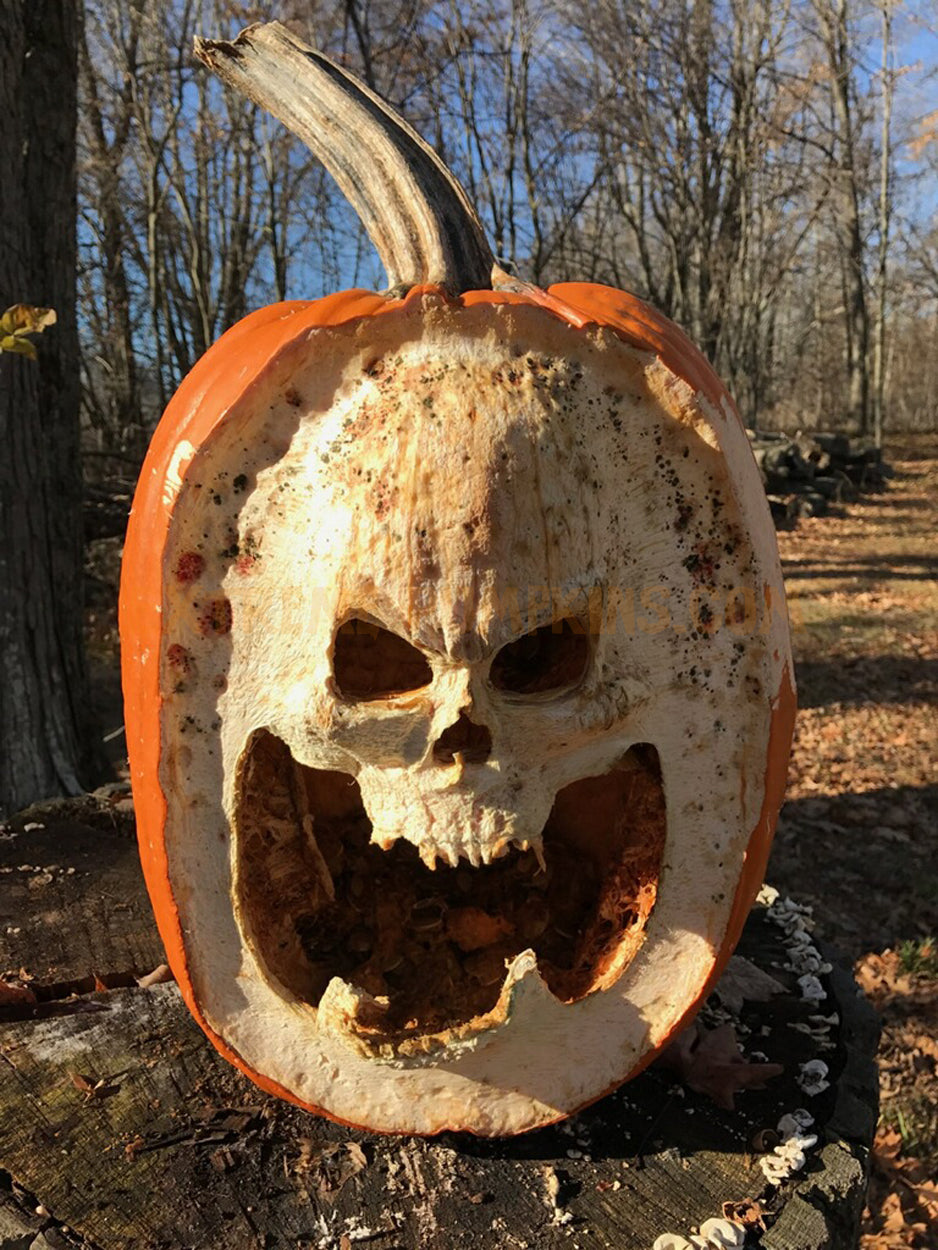 skull pumpkin template