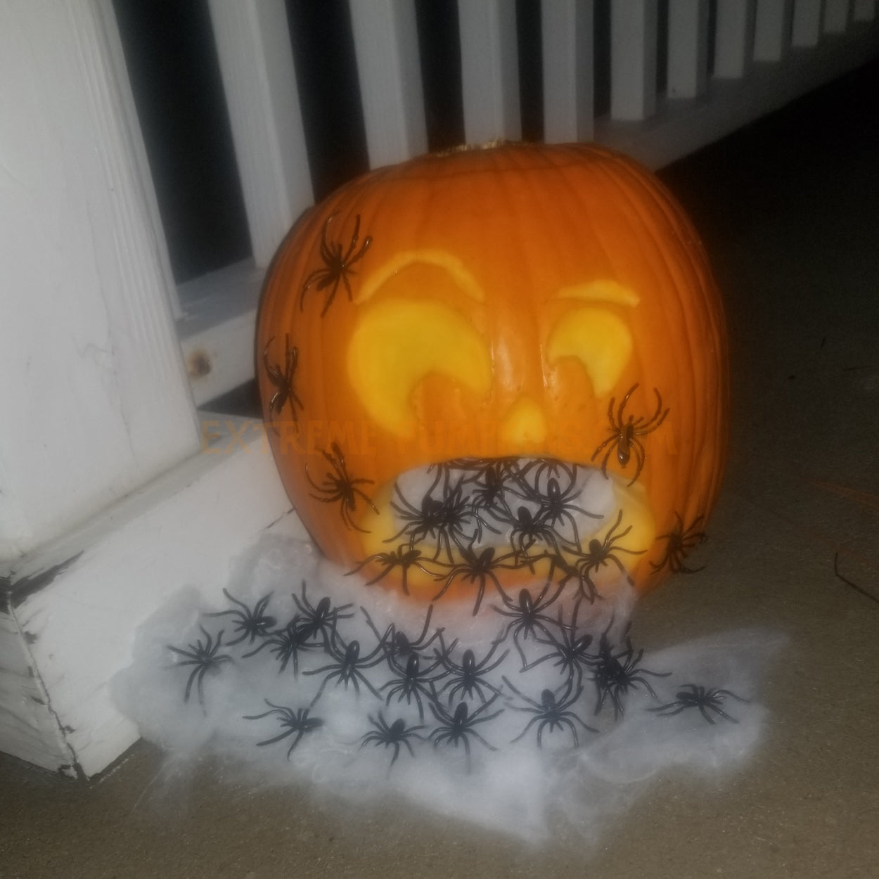Spidermouth Pumpkin
