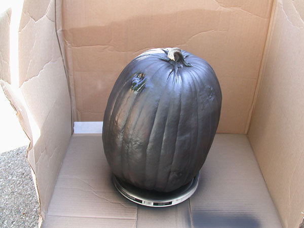 Spooky Black Pumpkin