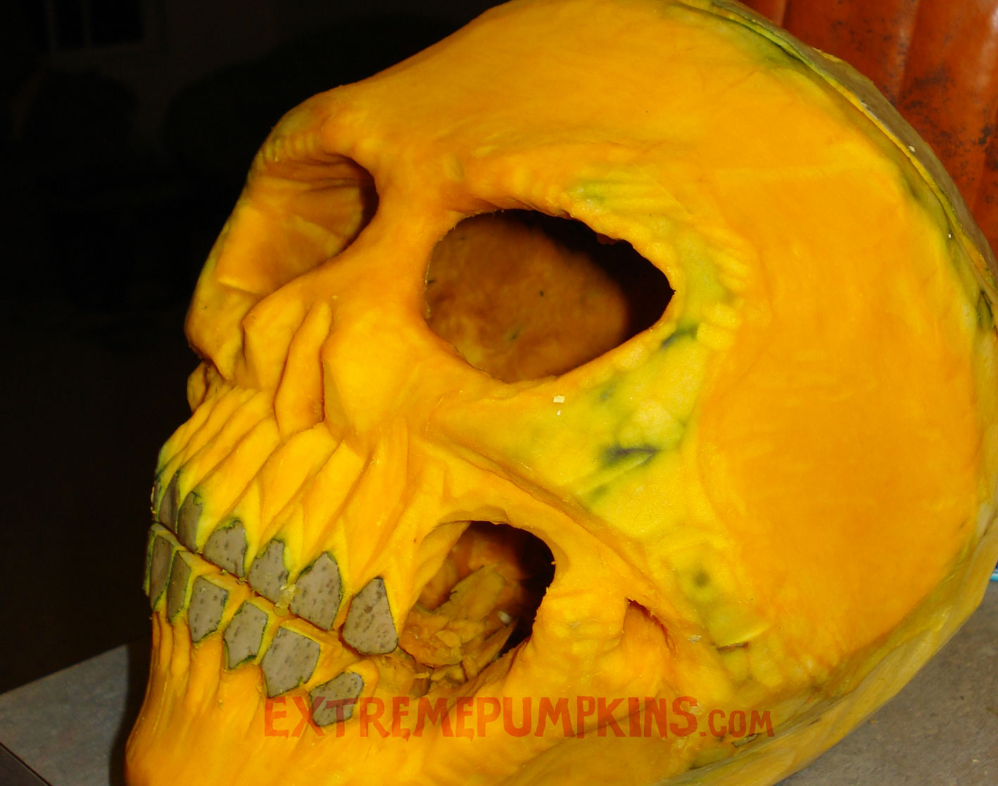 The Best Skull Pumpkin of 2010