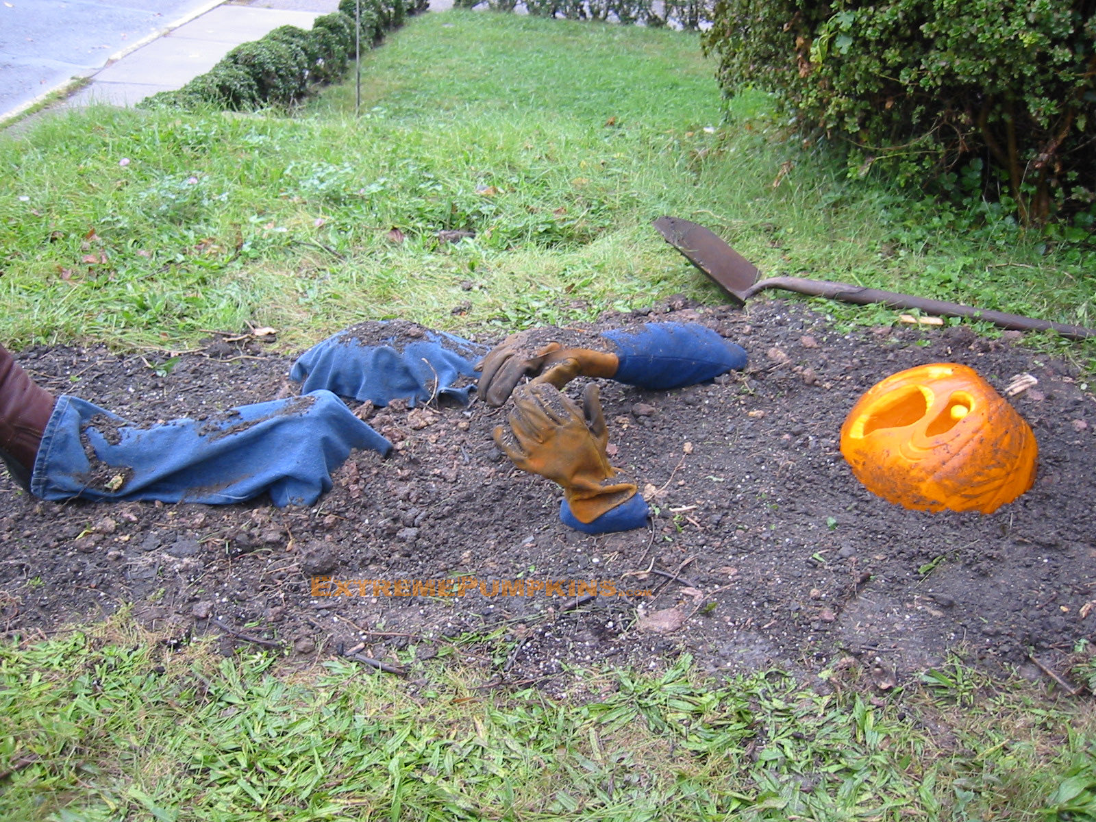 The Buried Alive Pumpkin Scene