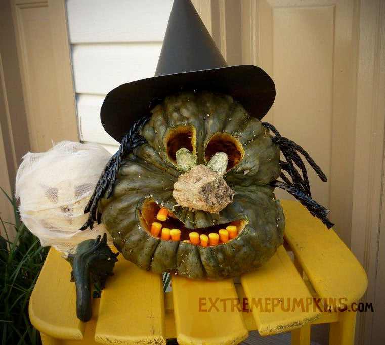 The Candy Corn Witch Pumpkin