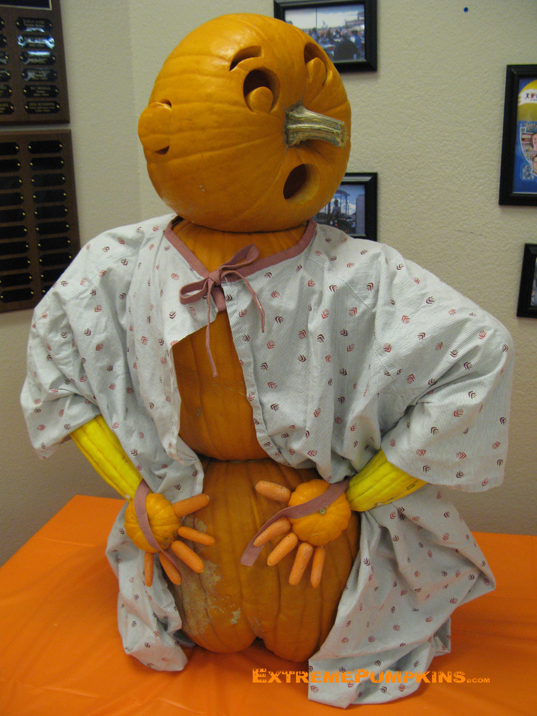 The Hospital Gown Pumpkin