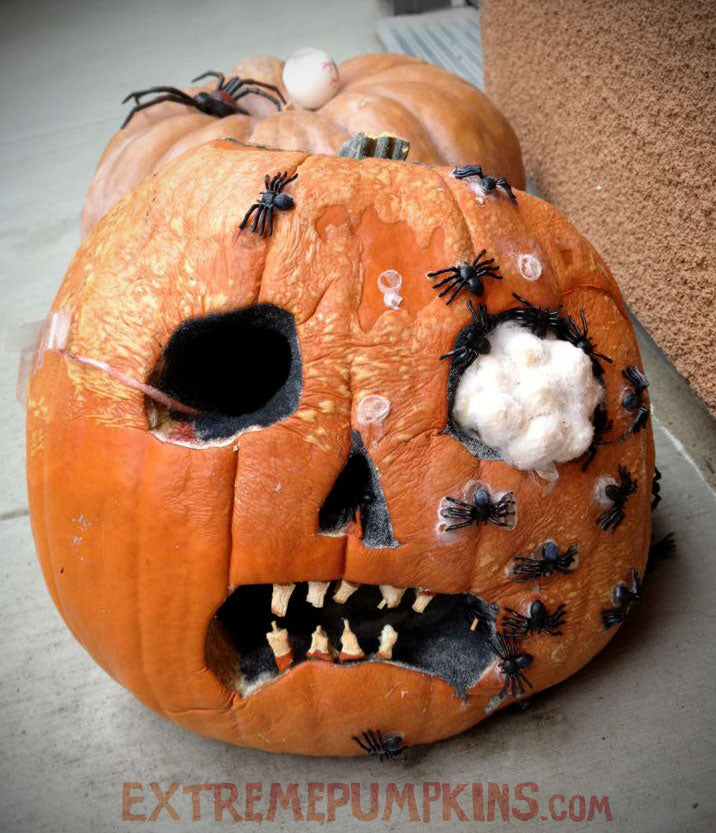 The Moldy Spiders Pumpkin