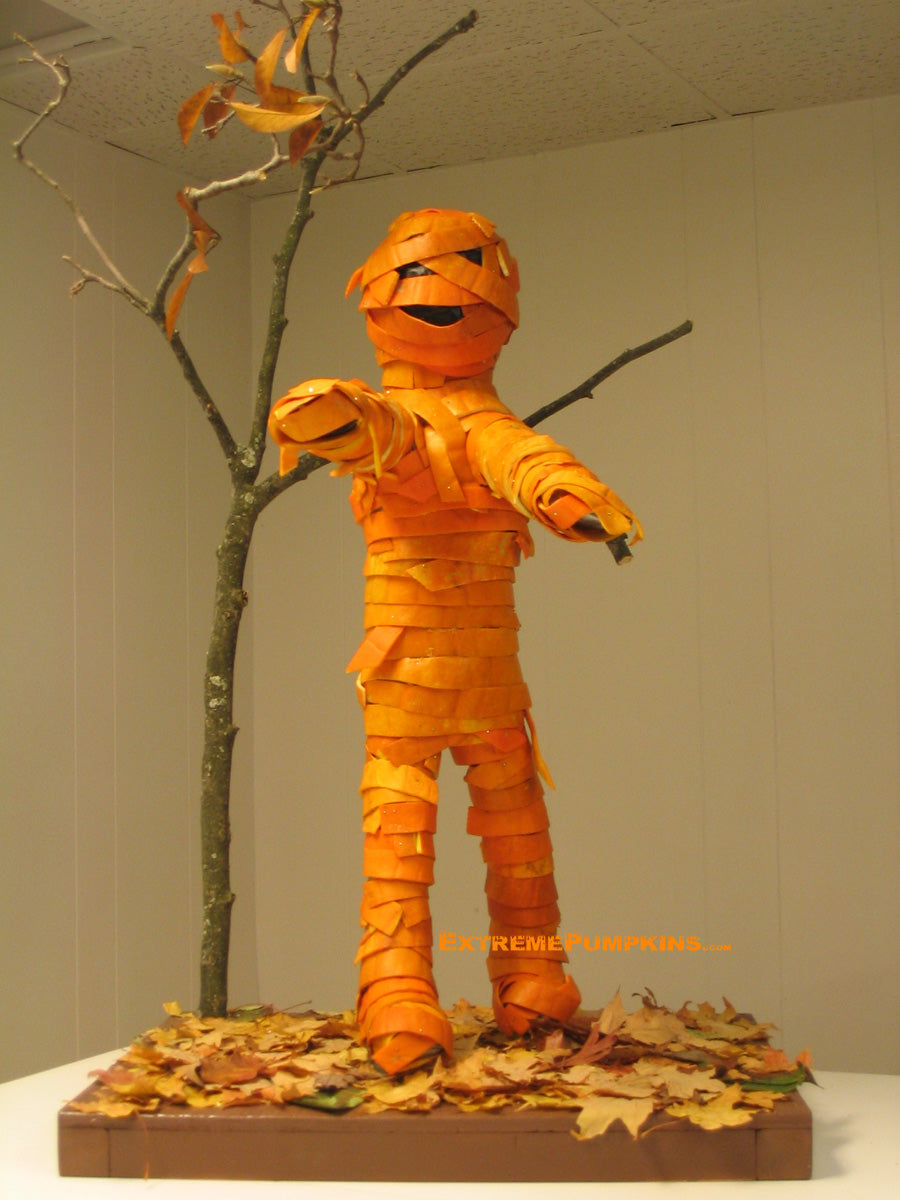 The Mummy Pumpkin - Made From Pumpkin Peels