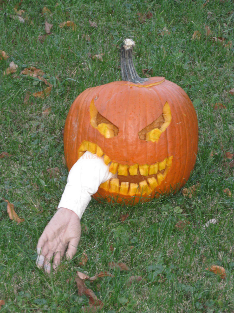 The Pumpkin That is Eating An Arm